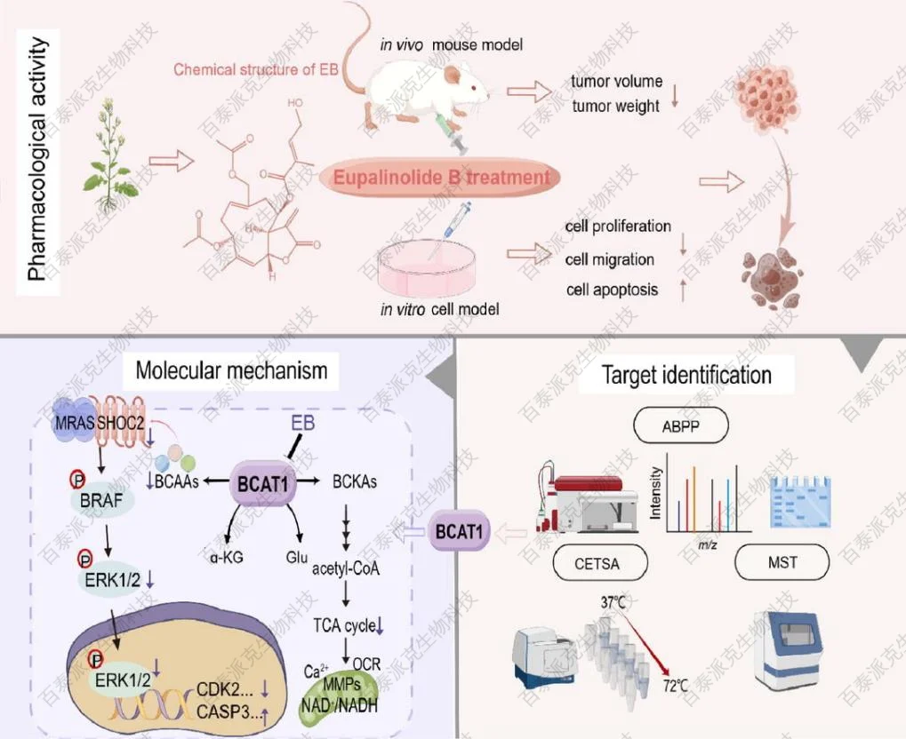 chemical-proteomics-gx3-1