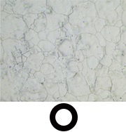 倒置金相显微镜GX53