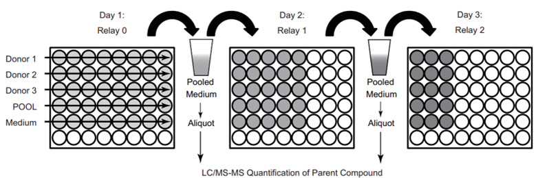 药物非临床体外研究的关键“武器”——原代肝细胞