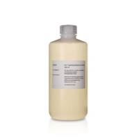 Amersham ECL 直接标记包