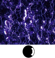 倒置金相显微镜GX53