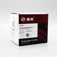 PG114 PAGE凝胶快速制备试剂盒15%