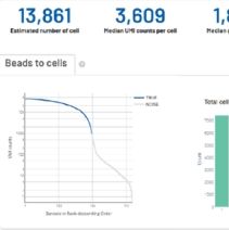 单细胞转录组测序服务