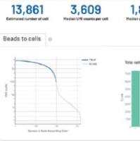 单细胞转录组测序服务