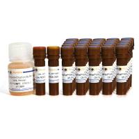 BeyoFast™ SYBR Green qPCR Mix (防污染型, 含示踪染料)