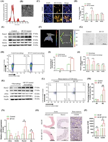 粒径分析 粒径分析