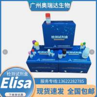牛末端补体复合物（SC5b-9）酶联免疫吸附测定试剂盒