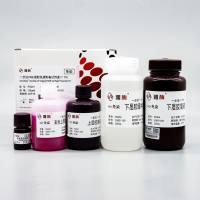 PG221 Omni-Easy™一步法免染PAGE凝胶快速制备试剂盒(7.5%)