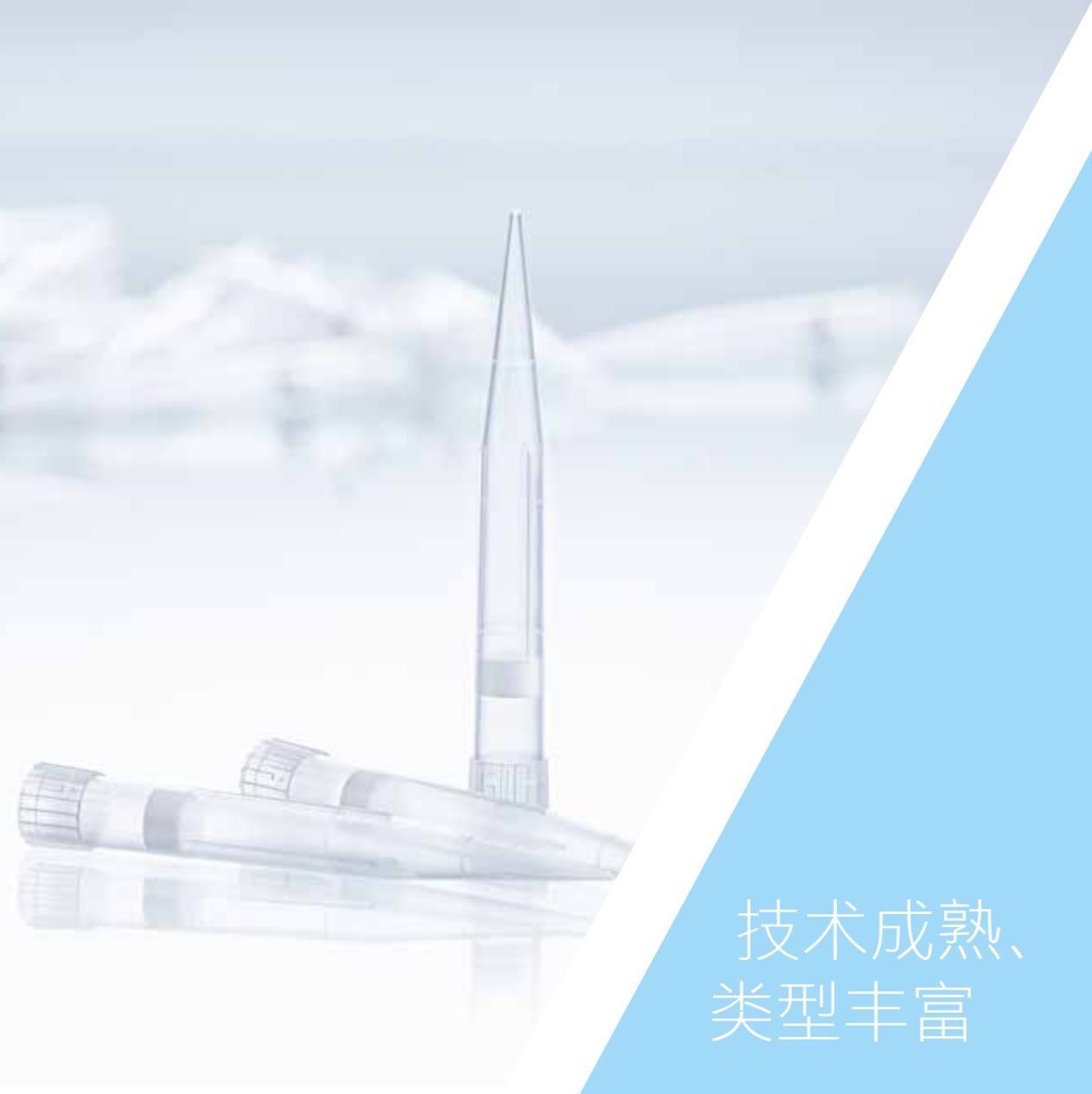 移液吸头(20μL/100μL/300μL/1000μL/1250μL等多规格)