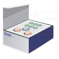 NovoCHOTRANS™CHO瞬时蛋白表达系统