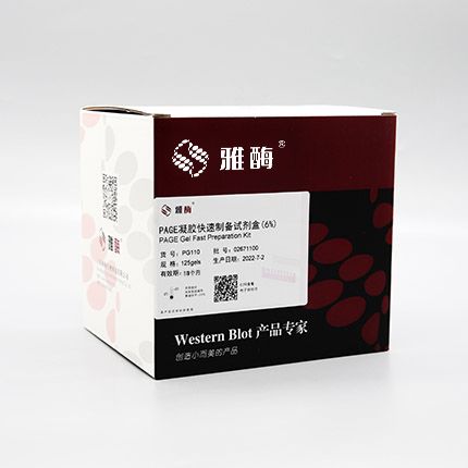 PG110 PAGE凝胶快速制备试剂盒6%