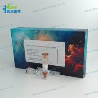 快速流动镍IDA树脂(柱) Fast Flow Ni-IDA Resin (Column) 货号NBGN-100115