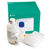 GFX 96 PCR 纯化试剂盒