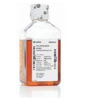 HyClone 特级胎牛血清 (FBS)，源自美国