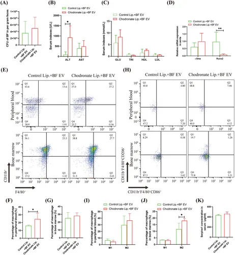 qRT-PCR检测 qRT-PCR检测