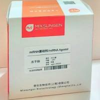 Agomir及Antagomir 修饰的RNA 合成定制服务
