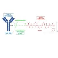 Belantamab mafodotin  2050232-20-5 靶向B细胞成熟抗原（BCMA）的抗体药物偶联物（ADC）
