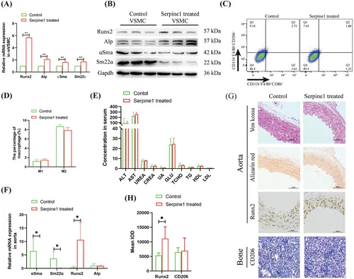 流式细胞术分析 流式细胞术分析