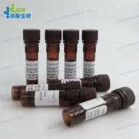 荧光原位杂交探针（细菌/病毒探针) DSF672 Probe探针 DSF672 Probe