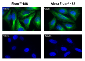 iFluor 488琥珀酰亚胺酯 货号1023