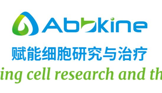 活/死细胞双染色试剂盒实验操作原理