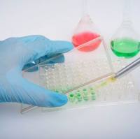 MTT/CCK-8/SRB/MTS检测