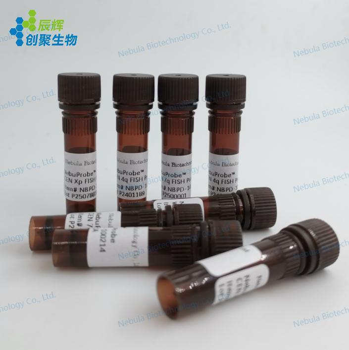 荧光原位杂交探针(易位探针) AARS2-SPATS1 Fu