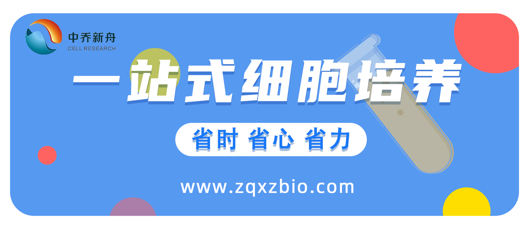 狗肠微血管内皮细胞