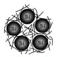 碳-硅双层纳米壳包封金纳米颗粒