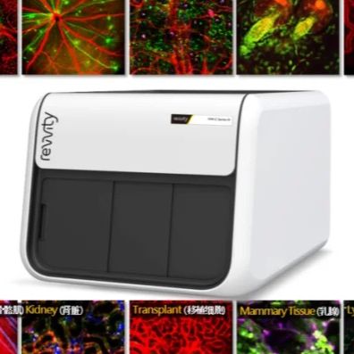 IVM活体显微成像系统