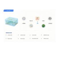 水凝胶定制服务