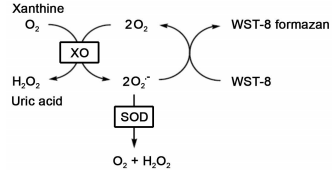 超氧化物歧化酶（SOD）活性检测试剂盒实验解决方案