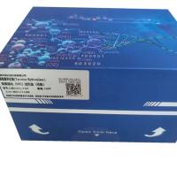 人多巴胺转运蛋白(DAT)酶联法试剂盒