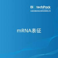 mRNA表征