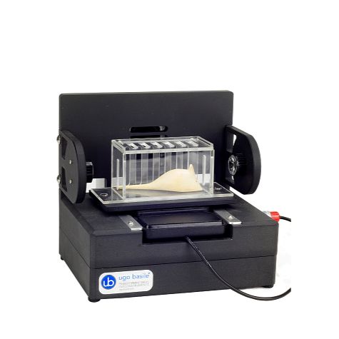 小鼠惊吓实验箱，大鼠惊吓实验箱，小动物惊吓实验箱