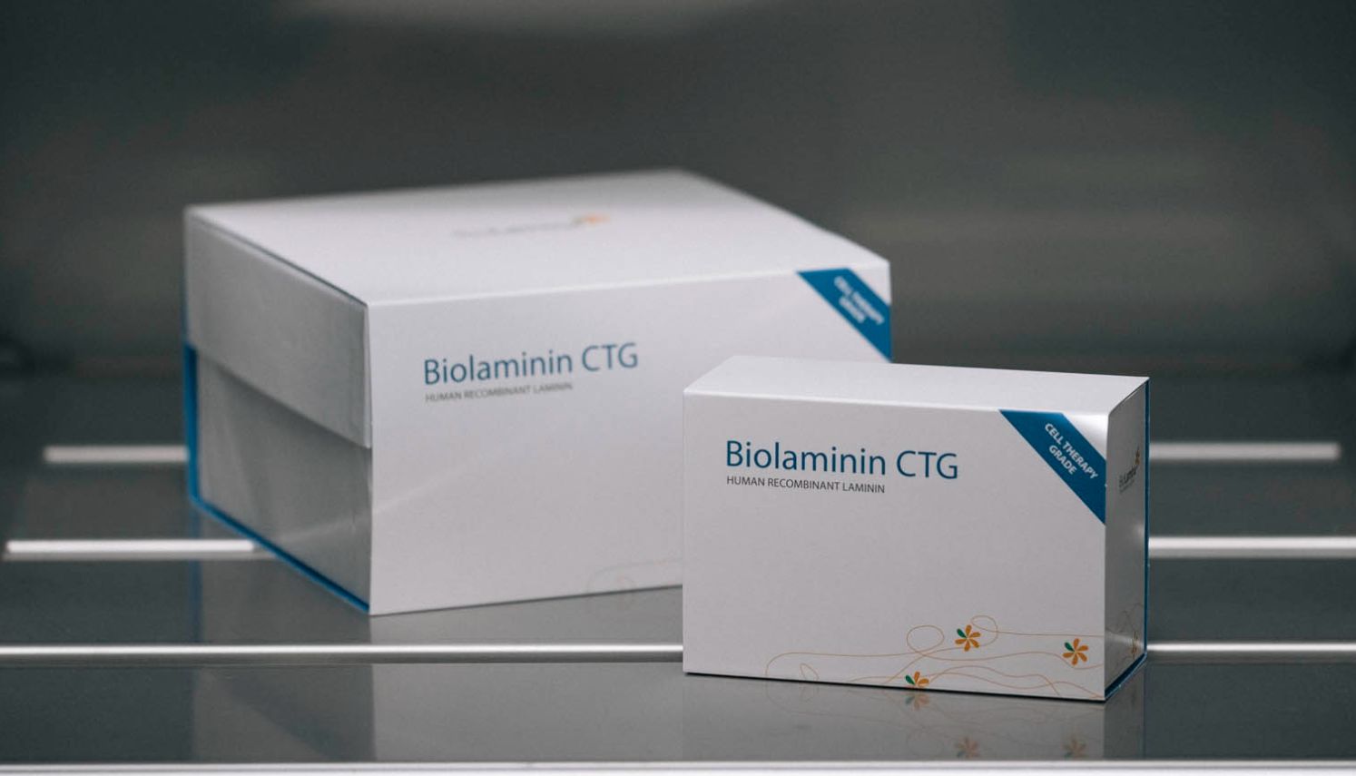 BioLamina货号CT521-0501细胞治疗级BioLaminin 521上海睿安生物13611631389