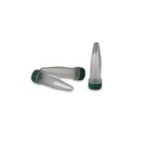 即用型 T4 DNA 连接酶