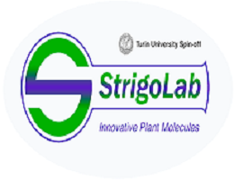 意大利StrigoLab公司和2025年StrigoLab代理商介绍