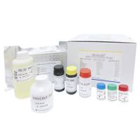 百日咳毒素PT IgG抗体ELISA试剂盒