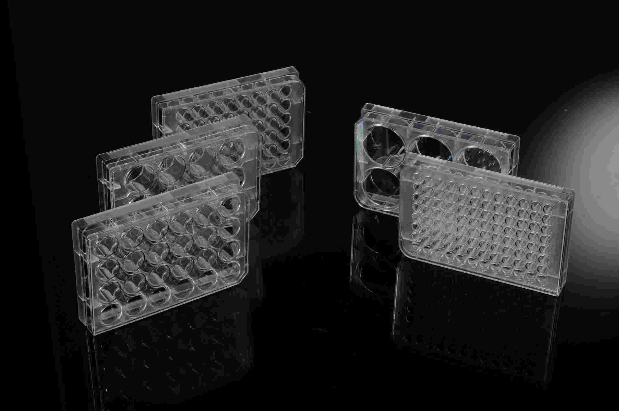  巴罗克BIOLOGIX| 科研加速器—高性能细胞培养板揭秘