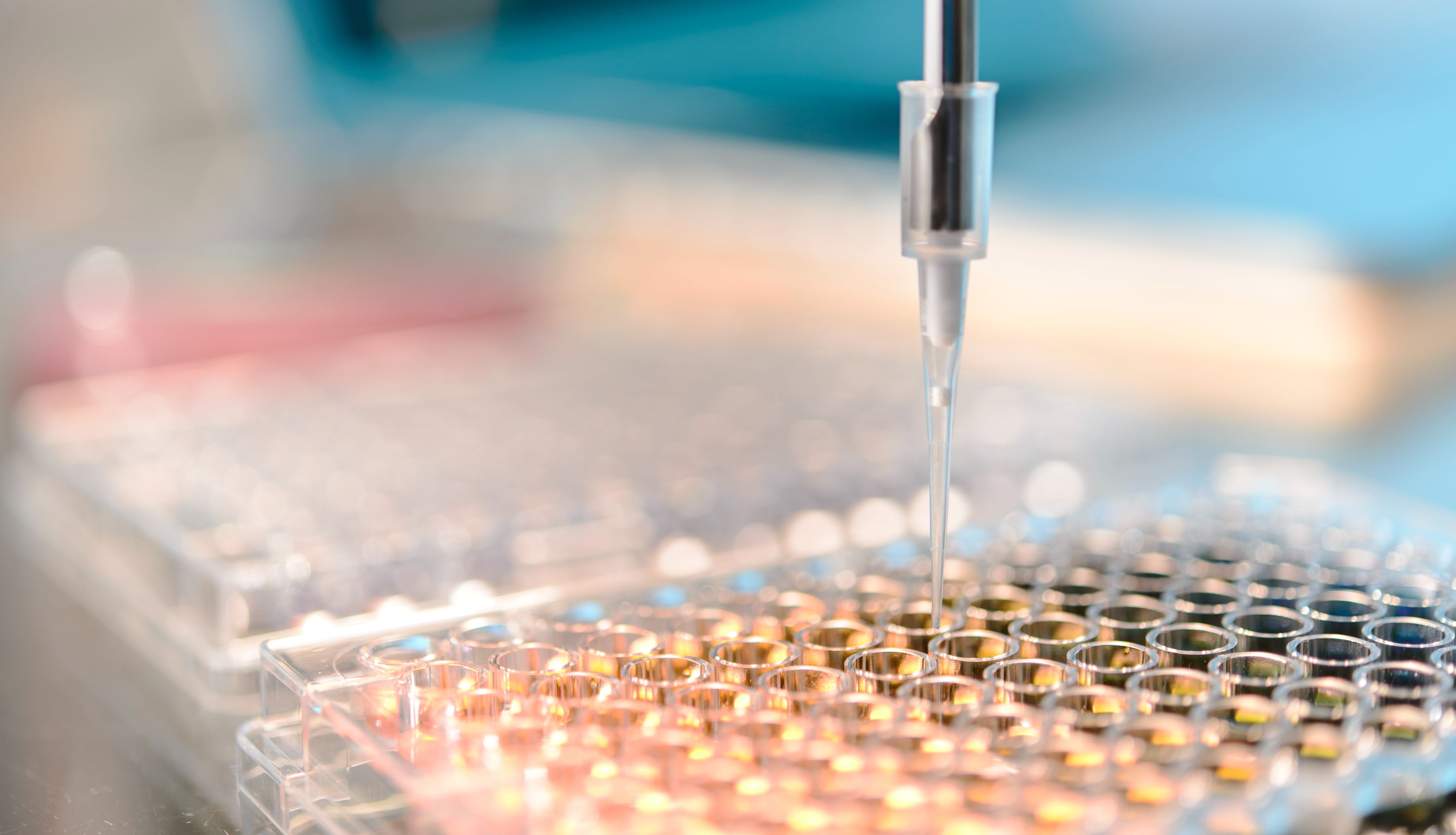 文献快读 | PRIME-XV MSC Expansion XSFM：助力临床级细胞扩增的卓越之选