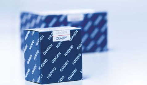 Qiagen Deparaffinization Solut