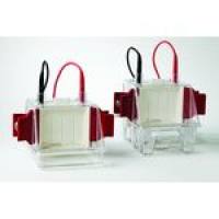 SE 250 小型垂直电泳