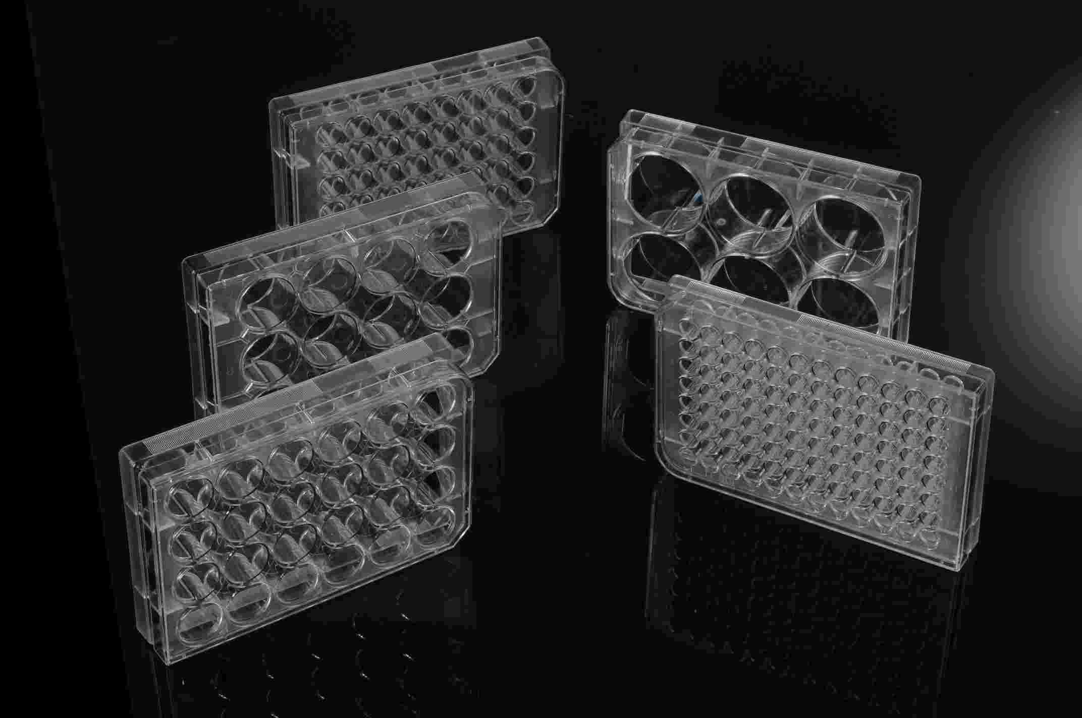 1725612804563084.jpg 1725612804563084.jpg