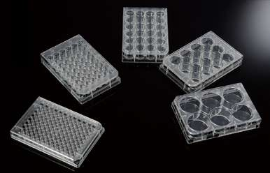 1725612663342534.png 微信图片_20240906165051.png