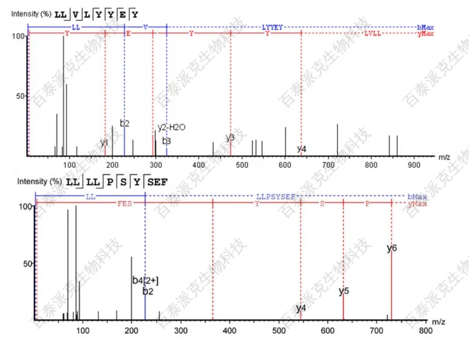 peptidomics-gx-18