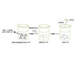 乳清蛋白(WPI)-短线性葡聚糖纳米颗粒包封姜黄素(Cur)