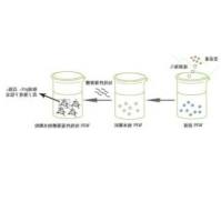 乳清蛋白（WPI）-短线性葡聚糖纳米颗粒包封姜黄素（Cur）