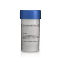 DNA (Calf Thymus), activated