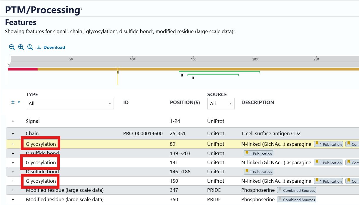 WB实际条带与预期不符？可算捋顺了